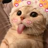 fa.kung.lay38
