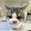 cuteeelng2