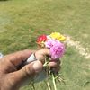 arifsanjrani235