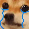duwsc_