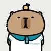 __chocho.poci
