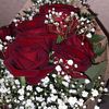 sarou063