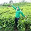 nurihsanningsih