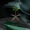 مالك الشراري؟