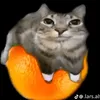 websu3333