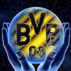 bvbfan.aus45