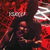 yskqlf