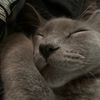 jhonny_u.u