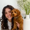 Tiana Karamihas|Cavoodle Coach