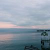 buronan44