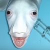 thesacisbac2