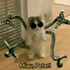 miaupiter