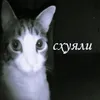 klkwn00