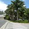 antoniomorais175