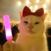 user170106290506
