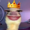 celinecte