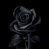 shashan_1910