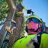 hhugo93arborist