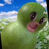 nsshaql