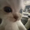 user01wpgyj5au