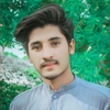 ijazmalik3967