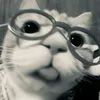 ..s__j