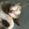 nhiều lần 1 ngày