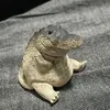 boyysibidi