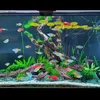 user68686868vinhbeca