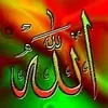 faridakhatoon401