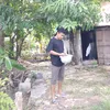 num_sira