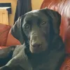 emmawalsh022