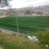 brasileiro264