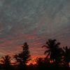 dhiny29_02