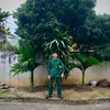 khiem267005
