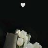 reem_1146