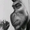 grantyk