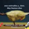 ricardovelasquezm6