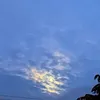 lobakinder