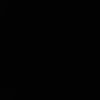 _brg24