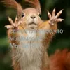 _777yelka_777
