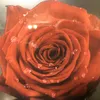 alexiaa91