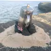hamdanalarbi