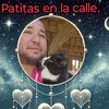 patitas en la calle