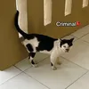 goianhladeptrai12