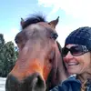 ds_zen_ergized_equine