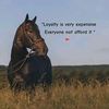 muneeb768