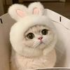 im__niss