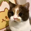 bellaem1