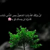 riad_1997_